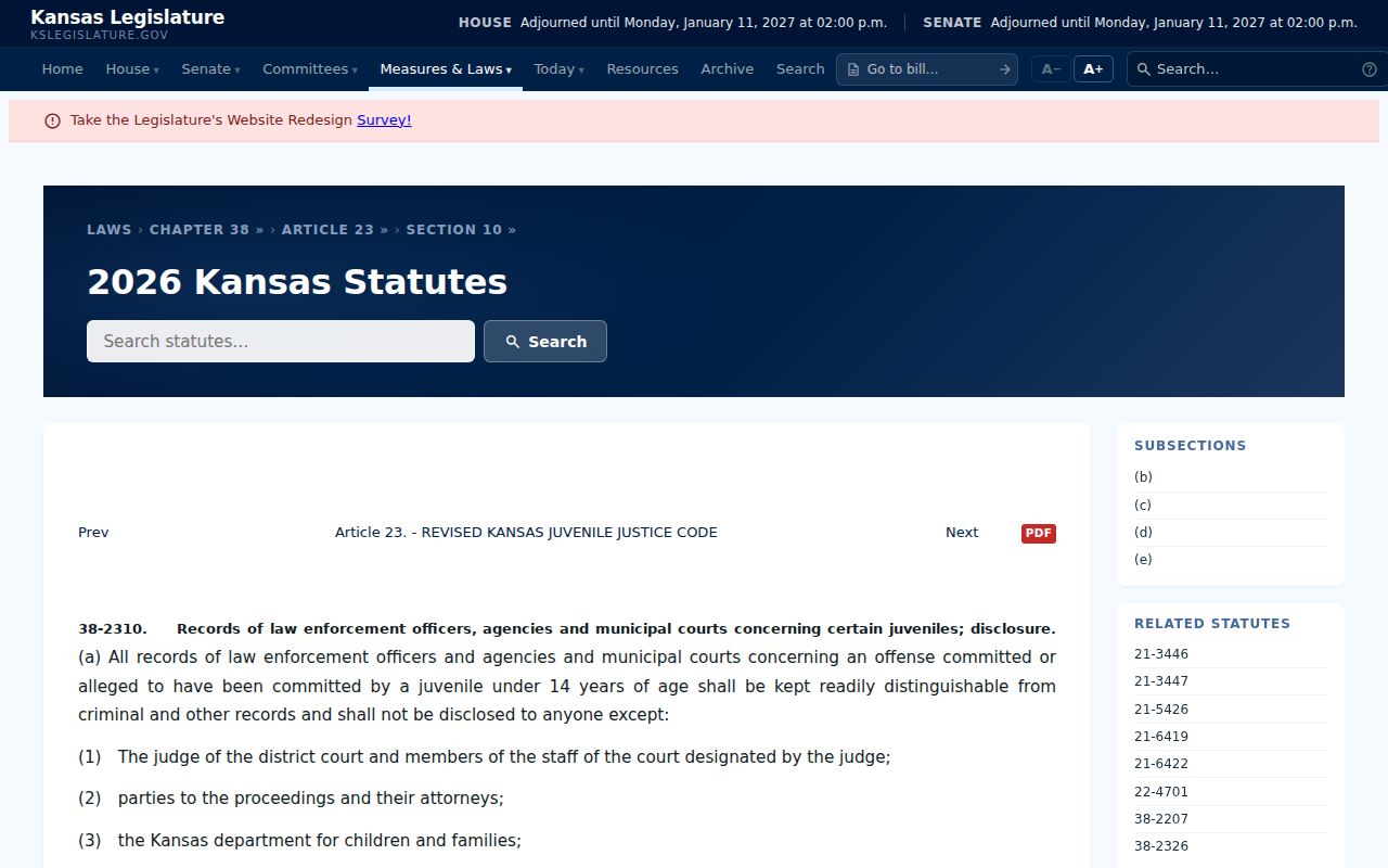 Woodson County criminal docket juvenile records law